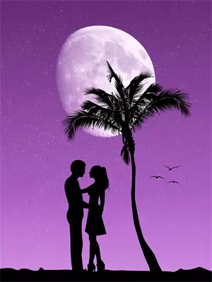 青楼花魁遇上穿越女主的小说