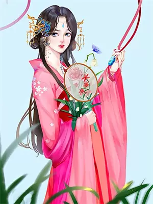 甄嬛传深度分析报告